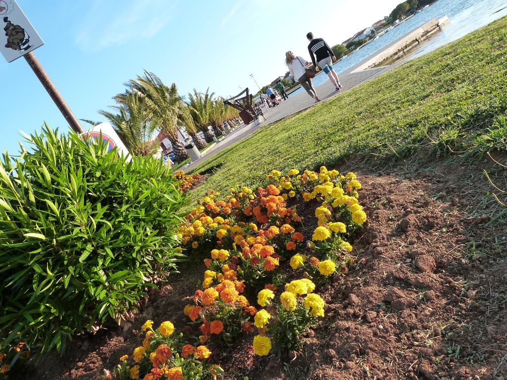 Apartments Eva ซูโกชัน ภายนอก รูปภาพ